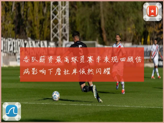 各队薪资最高球员赛季表现回顾伤病影响下詹杜库依然闪耀